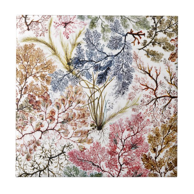 Seaweed Silk Fabric Art Tile (Front)