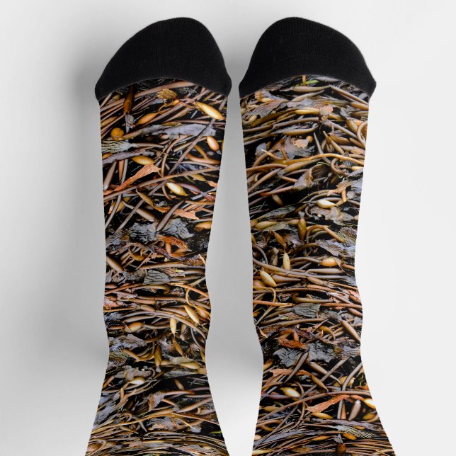 Seaweed  socks (Top)