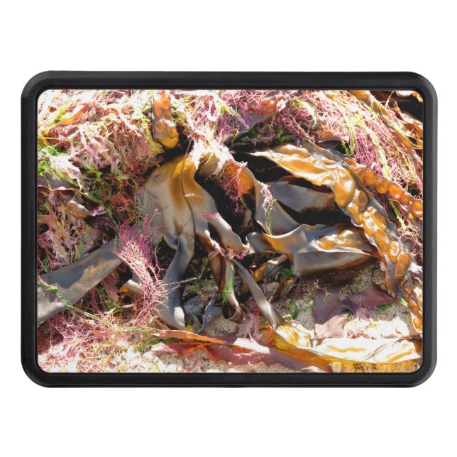 SEAWEED TRAILER HITCH COVER (Front)