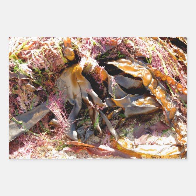 SEAWEED WRAPPING PAPER SHEET (Front)