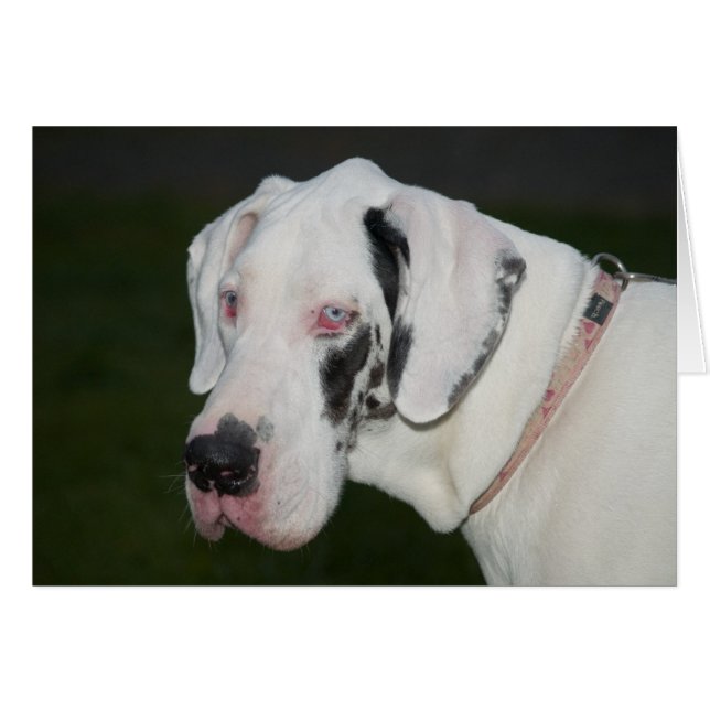 Sebastian (Front Horizontal)