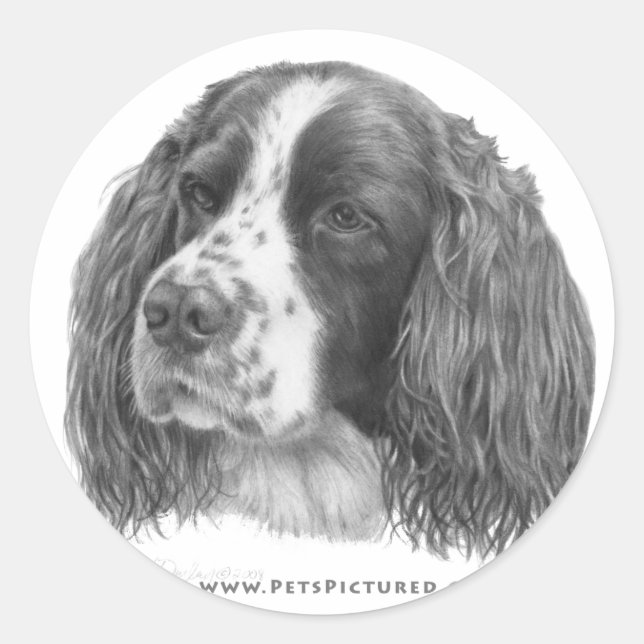 Sebastian, English Springer Spaniel Classic Round Sticker (Front)