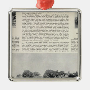 Sebastopol, California Metal Ornament