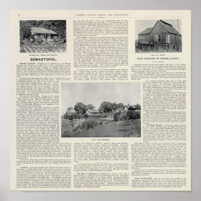 Sebastopol, California Poster (Front)