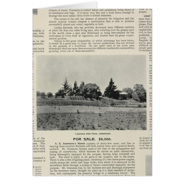 Sebastopol, Californie (Devant)