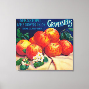 Sebastopol Gravensteins Apple LabelSonoma, CA Canvas Print