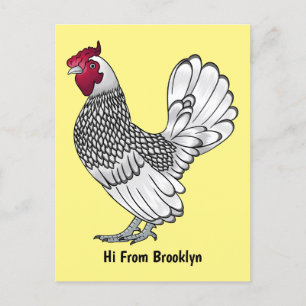 Sebright chicken cartoon illustration postcard