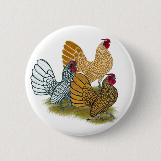 Sebright Rooster Assortment 2 Inch Round Button (Front)