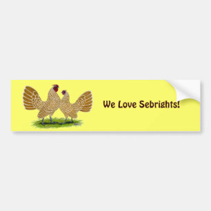 Sebrights Buff Laced Bumper Sticker