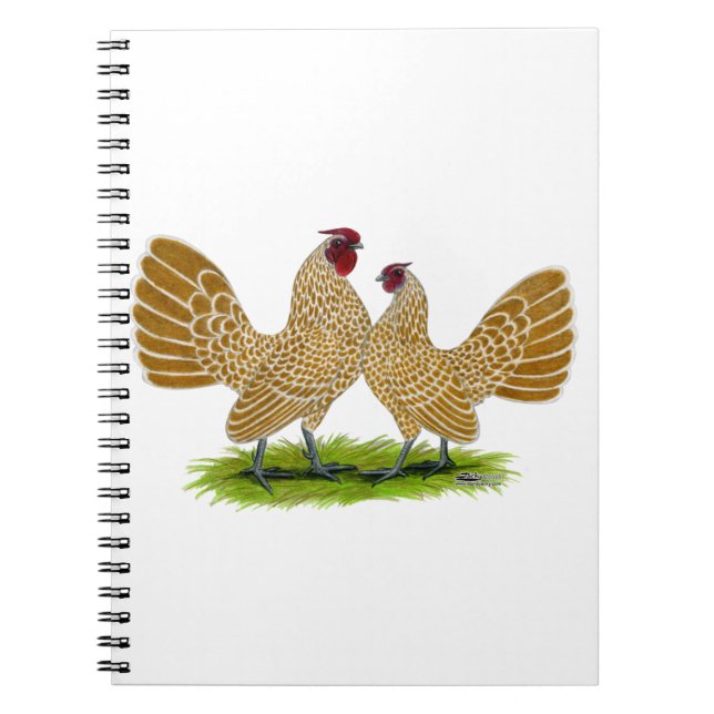 Sebrights Buff Laced Notebook (Front)