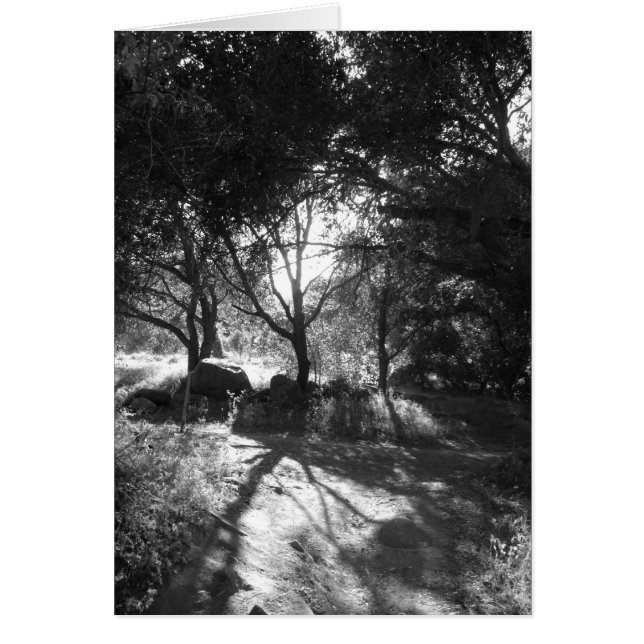 Seclusion Card (Front)