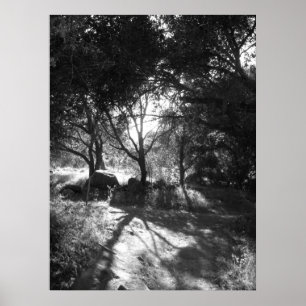Seclusion Poster