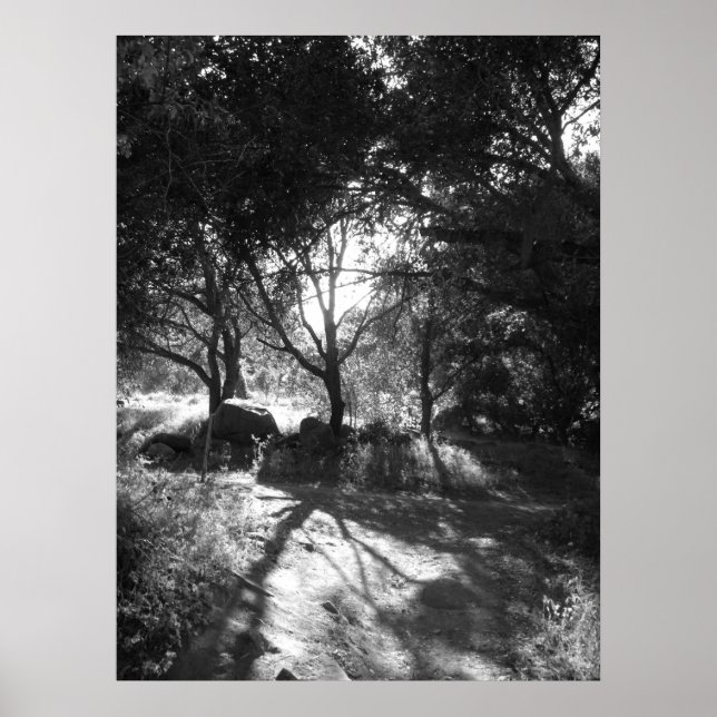 Seclusion Poster (Front)