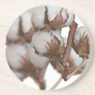 Second Anniversary with Cotton plant Coaster