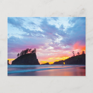 Second Beach at sunset, Washington Postcard