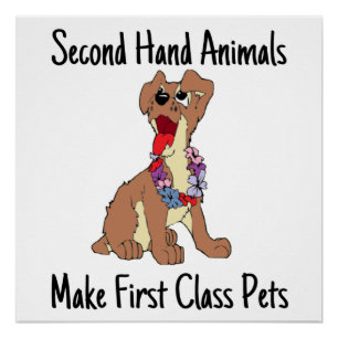 Second Hand Animals Make First Class Glossy Poster