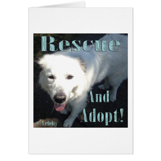 Secourez et adoptez ! (Devant)