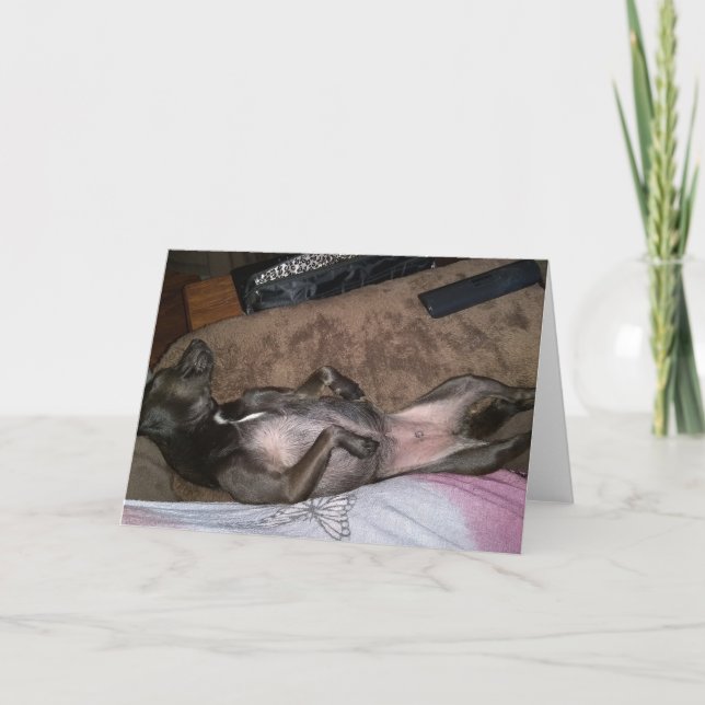 Secourir la carte de voeux pliée Chiens (Devant)