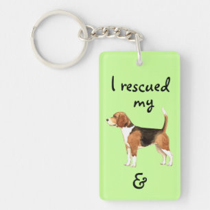 Secourir le Beagle