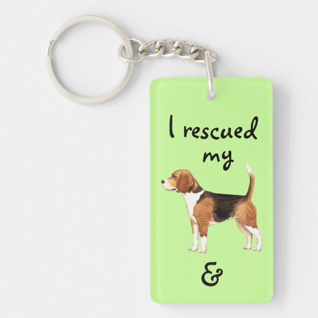 Secourir le Beagle (Devant)