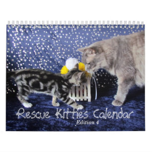 Secourir le calendrier Cat - Édition 4