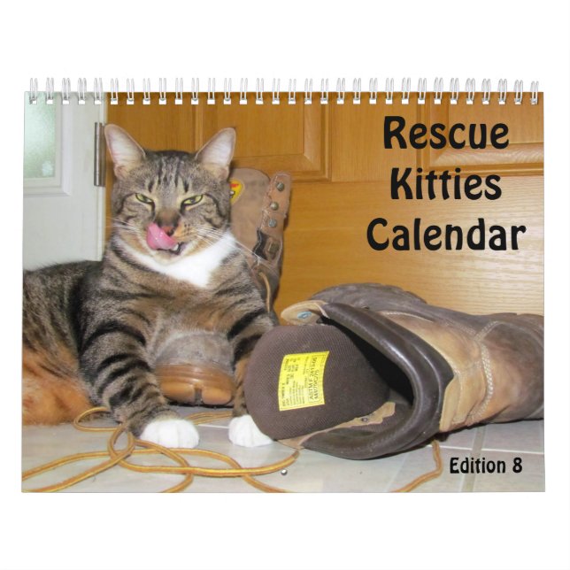 Secourir le calendrier Cat - Édition 8 (Protection)