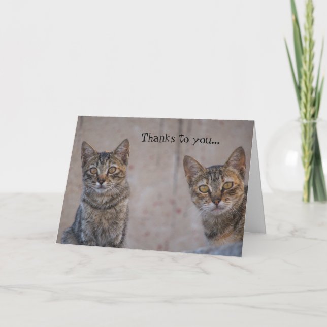 Secourt de chat Kitty Lover Carte de remerciements (Devant)