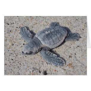 Secourt de tête de journal II