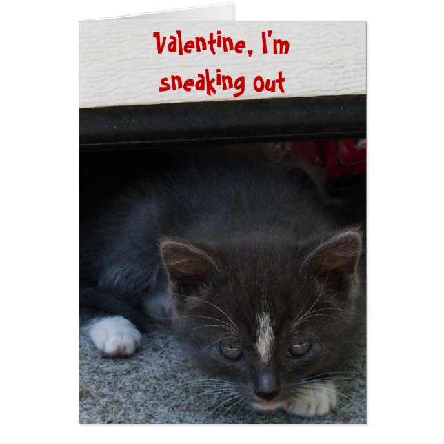 SECRET ADMIRER VALENTINE KITTY card (Devant)
