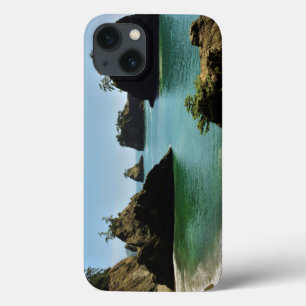 Secret Beach, Boardman State Park, Oregon, USA iPhone 13 Case