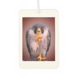 Secret Falcon Sherpa Throw Air Freshener