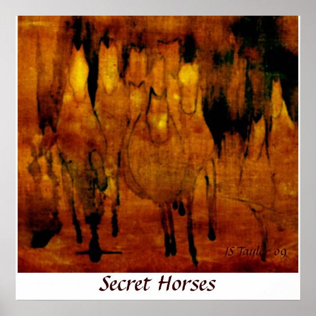 Secret Horses Poster (Front)