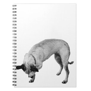Secret Lists Terrier Notebook