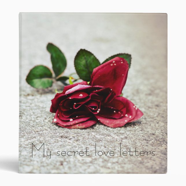 Secret love letters binder (Front)