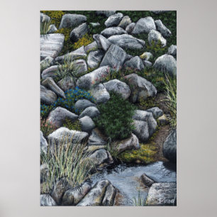 Secret place in the forest poster