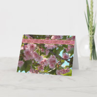 Secret Sister B-day-customize wording