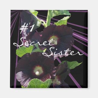 Secret, Sister Magnet-customize Magnet