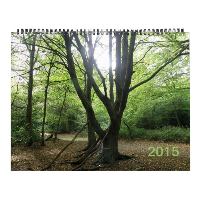 Secret Wild London 2015 Calendar (Cover)