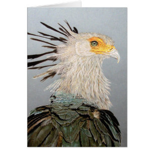 Secrétaire Bird