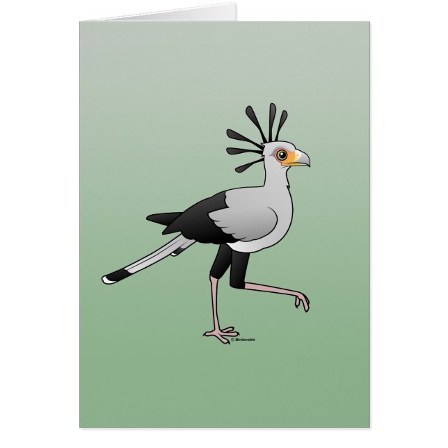 Secrétaire oiseau (Devant)