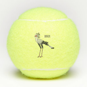 Secretary bird cartoon illustration  tennis balls