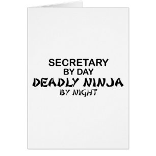 Secretary Deadly Ninja by Night
