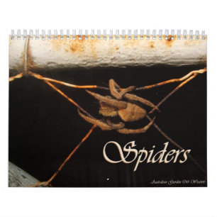 Secrets of a Garden Spider Calendar