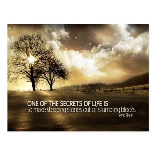 Secrets Of Life Postcard