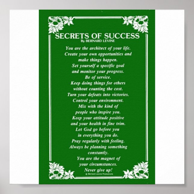 SECRETS OF SUCCESS By BERNARD LEVINE Poster (Front)