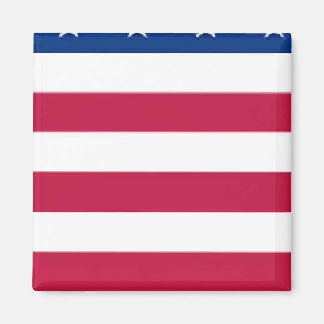 section 5 of 8 sections - US FLAG - Magnet (Front)
