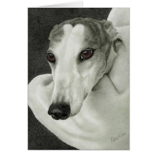 "Sécurité" - Carte Greyhound