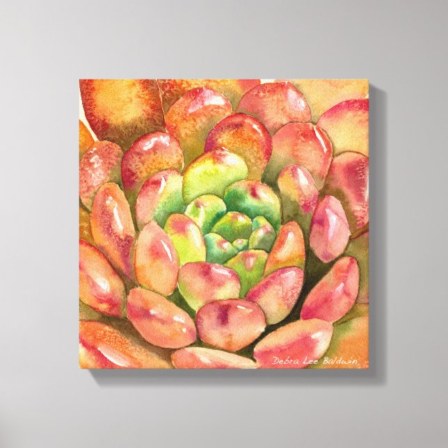 Sedeveria 'Pink Ruby' by Debra Lee Baldwin Canvas Print (Front)