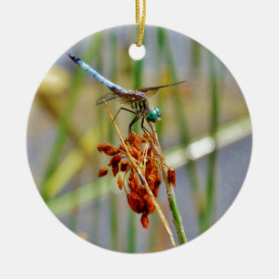 Sedge grass, and Dragonfly Ceramic Ornament