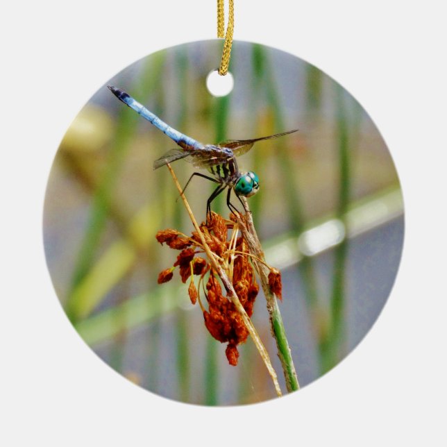 Sedge grass, and Dragonfly Ceramic Ornament (Front)
